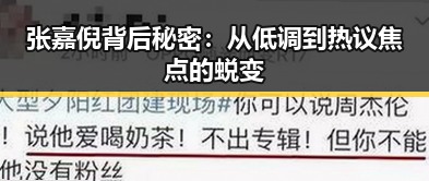 张嘉倪背后秘密：从低调到热议焦点的蜕变