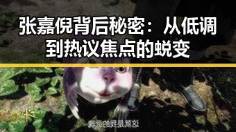 张嘉倪背后秘密:从低调到热议焦点的蜕变