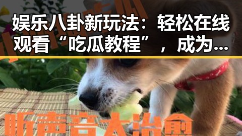 娱乐八卦新玩法:轻松在线观看“吃瓜教程”,成为圈中达人不是梦!